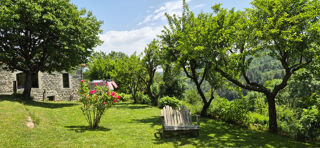  Maison � vendre 7 pi�ces 250 m�