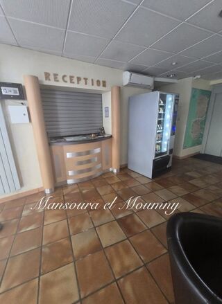  H�tel Particulier � vendre 15 + pi�ces 600 m�