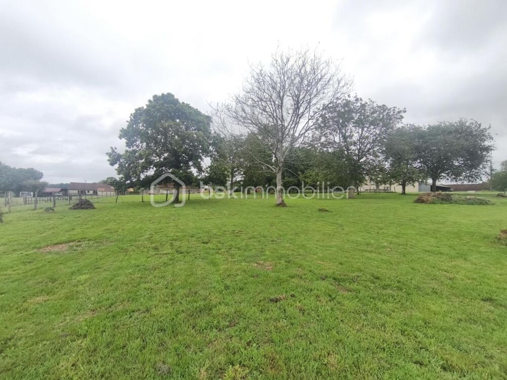Vente Terrain Terrain à batir de 1113m² viabilisé Montmirail
