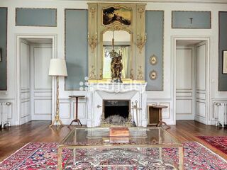  Propriété/château à vendre 15 + pièces 602 m²