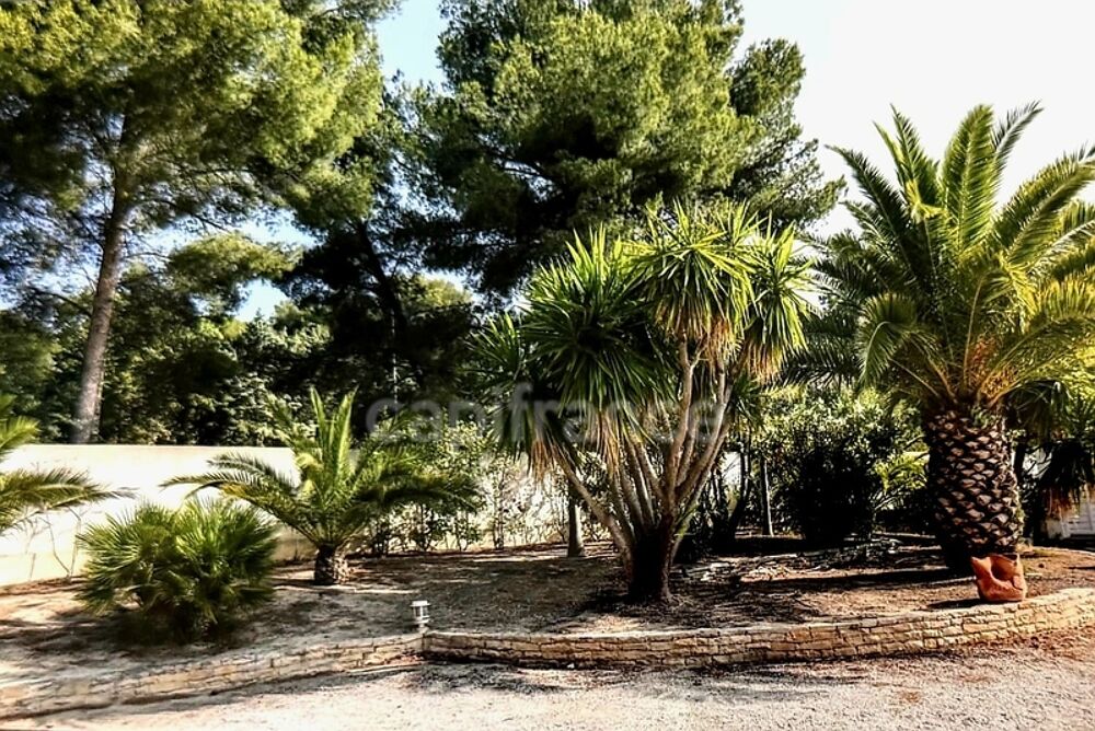 � vendre  Propri�t�/ch�teau Saint-Cyr-sur-Mer (83270)