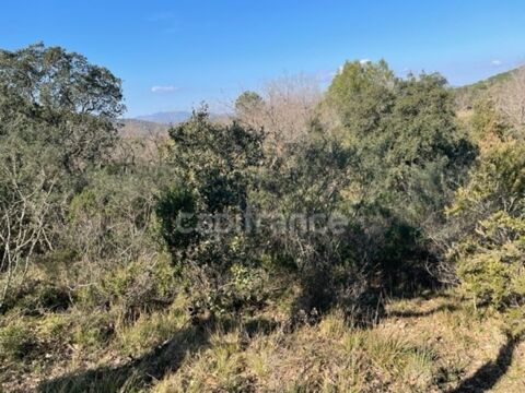 Var (83), &agrave; vendre GASSIN Terrain Agricole Zone AOC environ 17 000 m&sup2; (1 ha 7a) (31 euros/m2) 530000 83580 Gassin