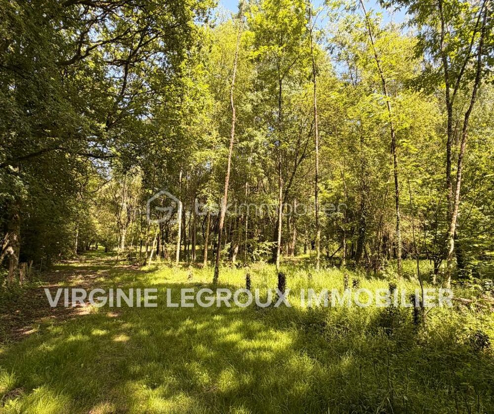 Vente Terrain Terrain de loisirs de 15.000m2 avec pièce d'eau et verger Port brillet