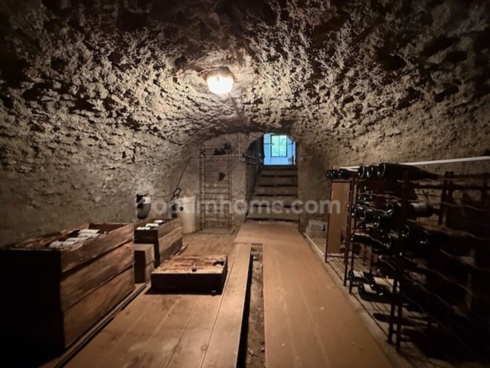  vendre  Proprit/chteau Saint-Cyr-sous-Dourdan (91410)