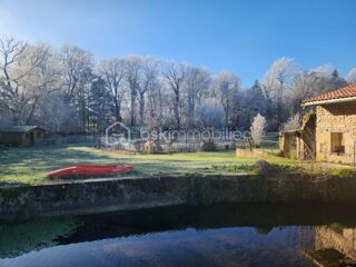  Propri�t�/ch�teau � vendre 15 + pi�ces 530 m�