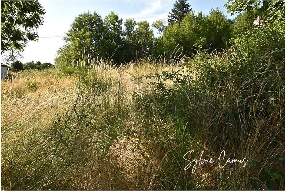 Vente Terrain Terrain à vendre de 1 200,00 m² SAINT PAL DE MONS (43) Saint pal de mons