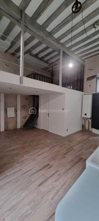  Loft à vendre 3 pièces 46 m²