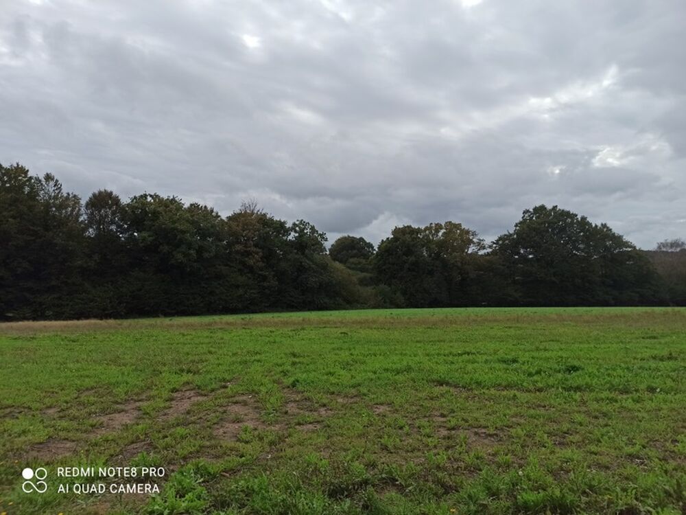 Vente Terrain Dpt Morbihan (56), à vendre LOCMALO terrain Locmalo