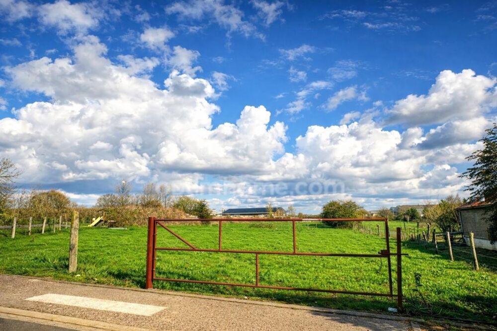 Vente Terrain Terrain à bâtir de 1787,00 m² COUPELLE-NEUVE (62) Coupelle neuve