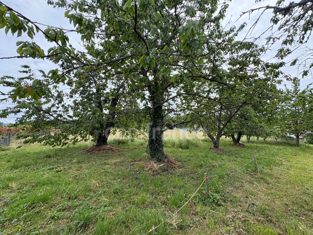 Vente Maison proche d' AMBERT (63) CORPS DE FERME en pierre renové  avec sa grange indépendante  TERRAIN de 1209 M2 Tours sur meymont