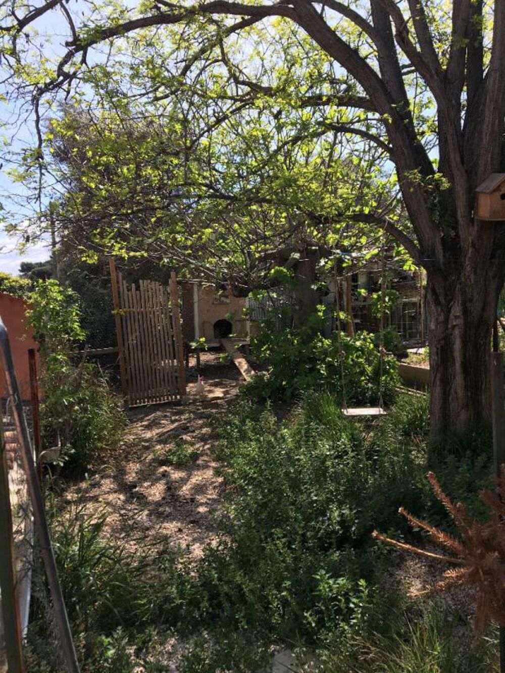 Vente Appartement EXCLUSIF VIAGER Maison + appartement à vendre en nue-propriété Marseille 11