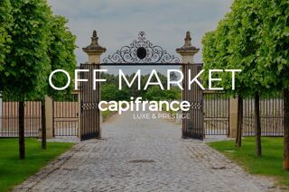  Propri�t�/ch�teau � vendre 15 + pi�ces 2400 m�