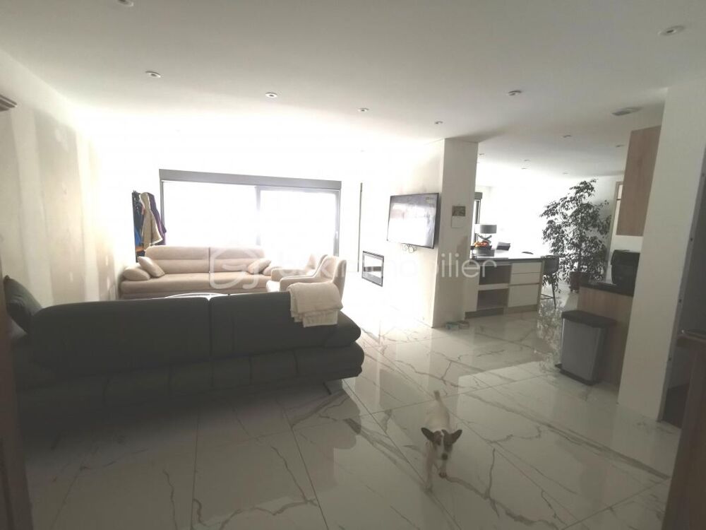 Vente Duplex/Triplex loft en duplex de 160 m avec terrasse de 60 m Morez