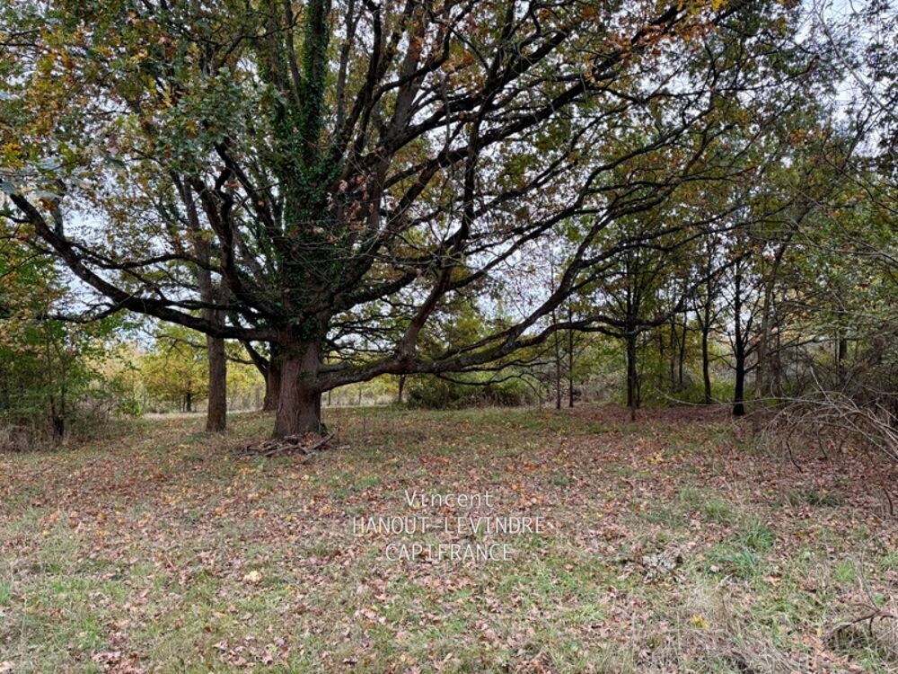  vendre  Maison Tierc (49125)