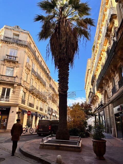   Cession de droit au bail – Boutique d'angle – Montpellier Écusson 