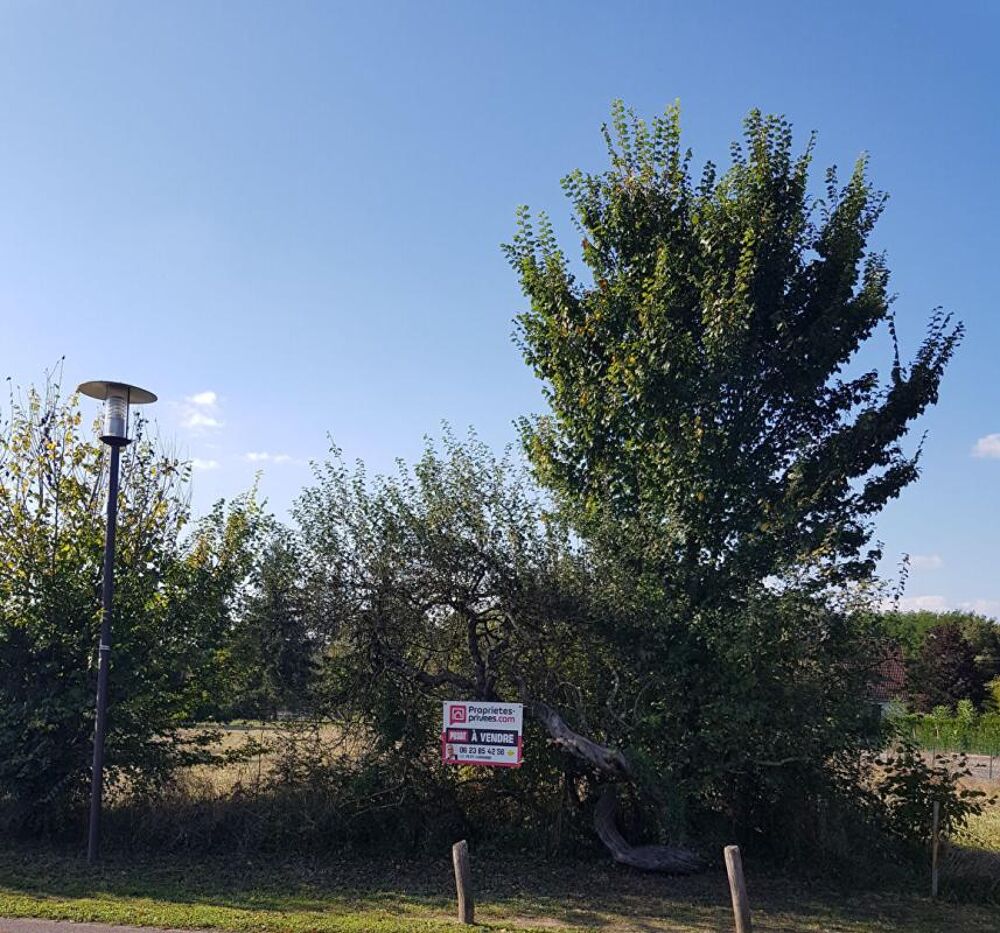Vente Terrain Terrain La Cour Marigny 1 313  m2 La cour marigny