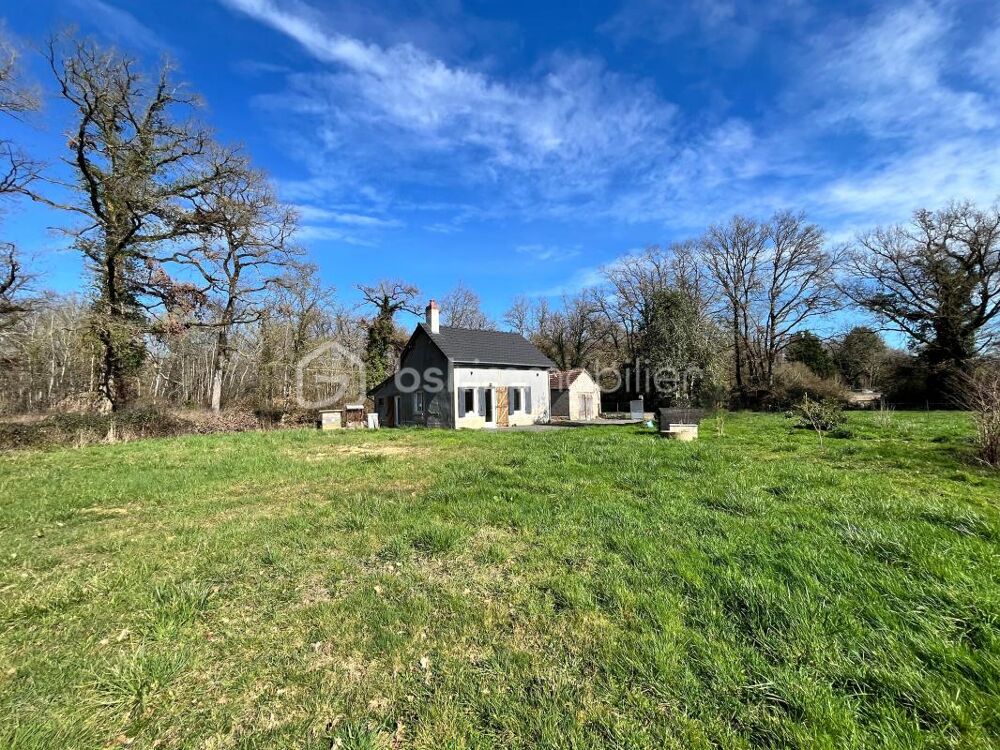 Superbe maison de campagne fraîchement rénovée sur son magnifique terrain au coeur de la forêt