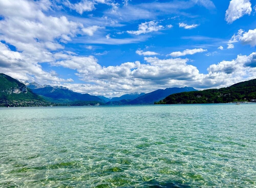 Appartement à vendre 2 pièces ANNECY (74)