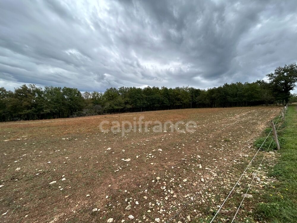 Vente Terrain Terrain à vendre  16300m² SAINT PANTALY D'EXCIDEUIL (24) Saint pantaly d excideuil