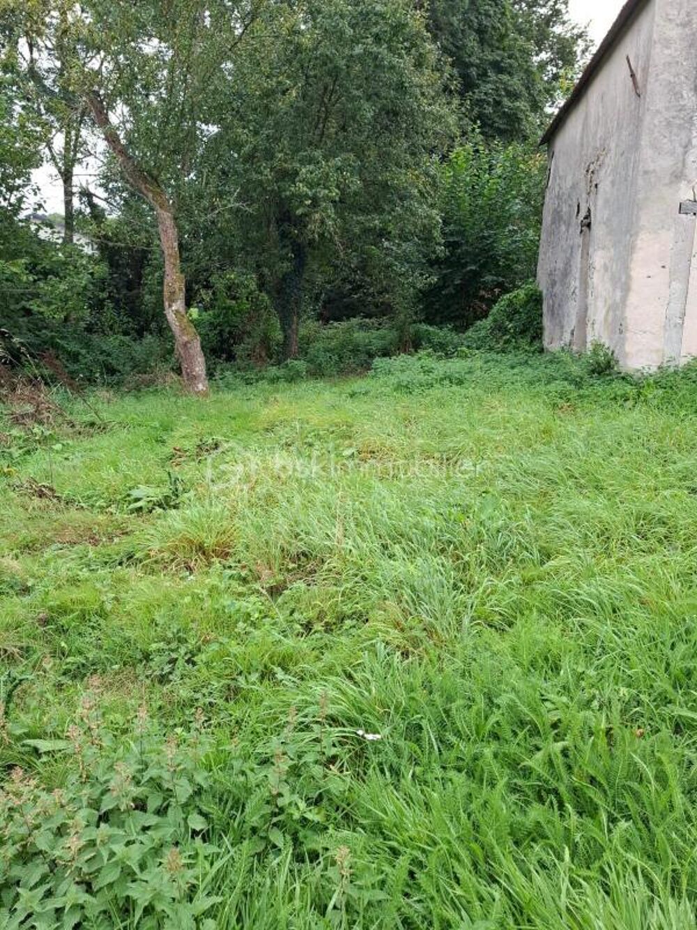 Vente Remise/Grange spécial rénovation Nogent l artaud