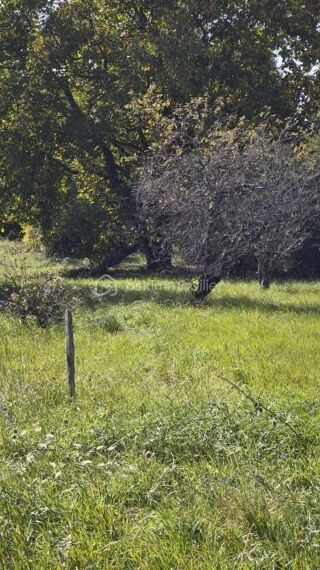  Terrain  vendre 797 m