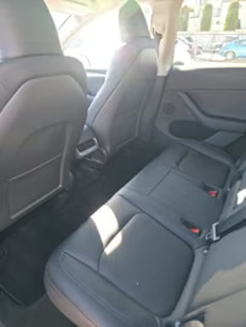 Model Y Standard RWD 2024 occasion 33000 Bordeaux
