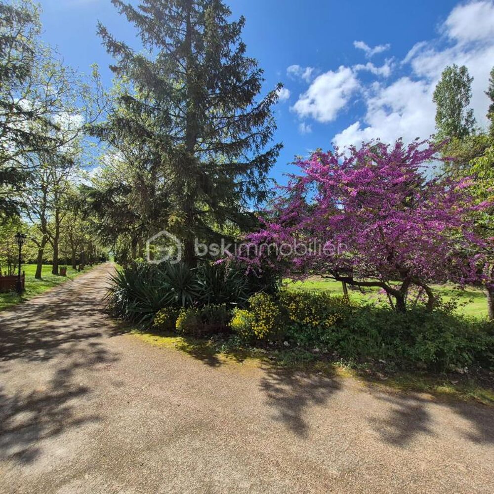 à vendre  Propriété/château Saint-Augustin-des-Bois (49170)