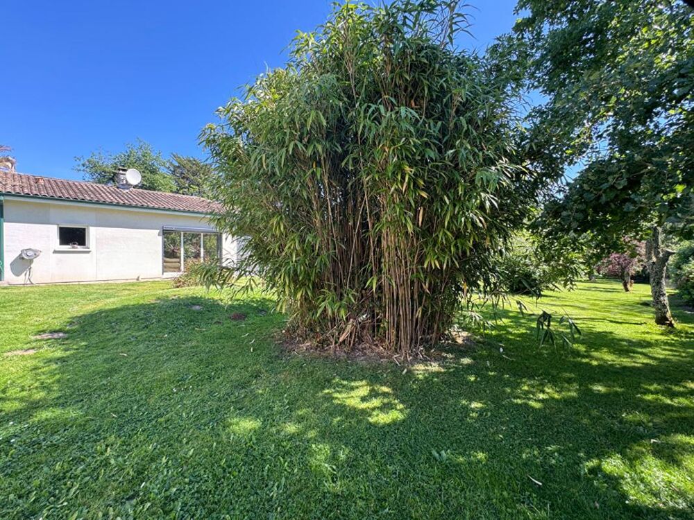 à vendre  Maison Sallebœuf (33370)