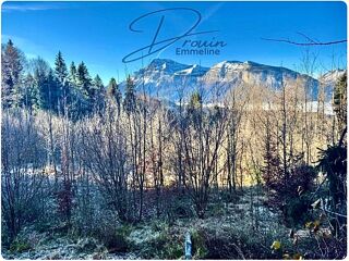  Terrain � vendre 15405 m�