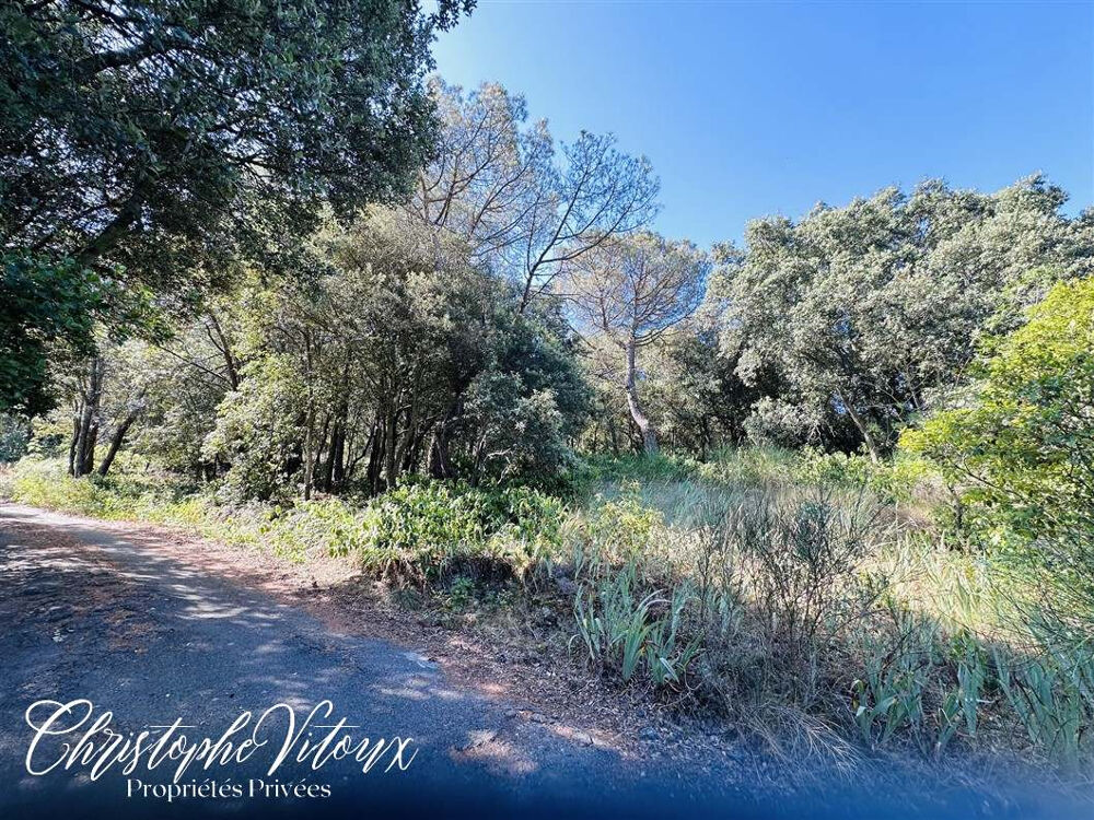 Vente Terrain Terrain viabilisé - 2500m2 - 11570 PALAJA Palaja