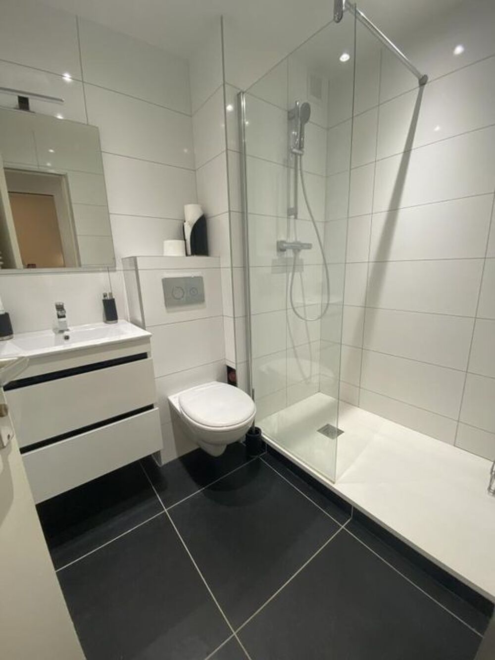 Location Appartement Studio de 26m2 à louer sur Grenoble Grenoble