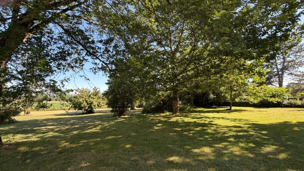 Vente Maison MAISON DE CARACTERE AVEC ESPACE PROFESSIONNEL INDEPENDANT - PARC 3000 M2 Lanuejouls