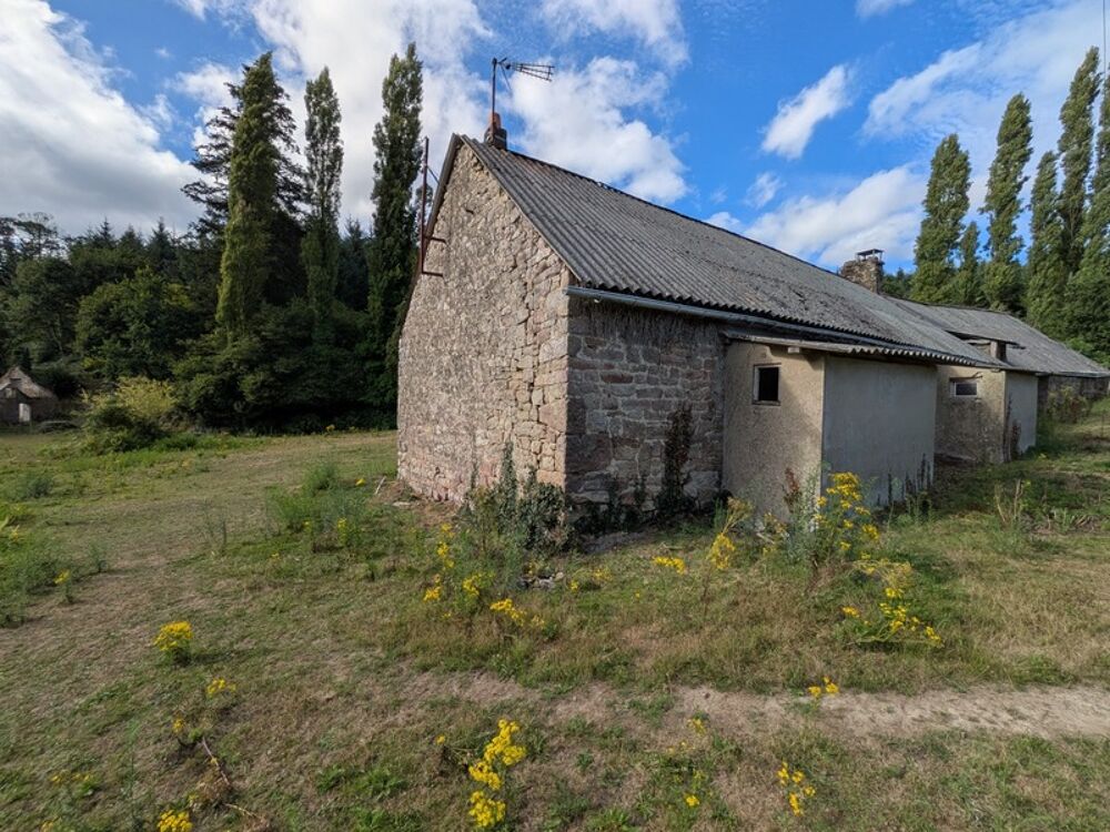 Ensemble de 3 Longères de 430m² au total en pierre a rénover avec appentis et grange parcelle de 8000 m² envrion