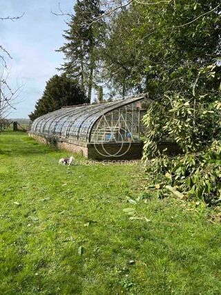  Propriété/château à vendre 12 pièces 500 m²