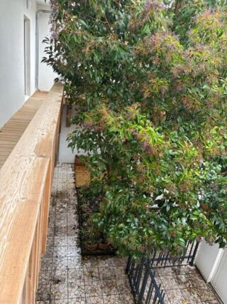  Appartement � vendre 4 pi�ces 59 m�