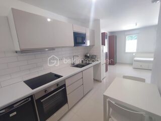  Appartement à louer 1 pièce 30 m²