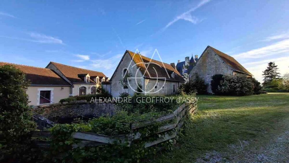 à vendre  Propriété/château Le Blanc (36300)