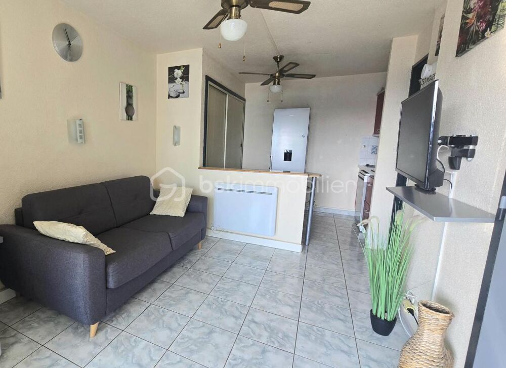 Vente Appartement *** LE BARCARES - APPARTEMENT 2 PIECES - VUE ETANG *** Le barcares