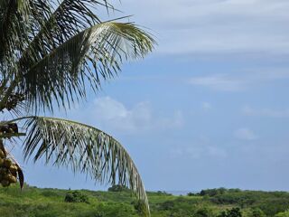  Villa � vendre 7 pi�ces 239 m�