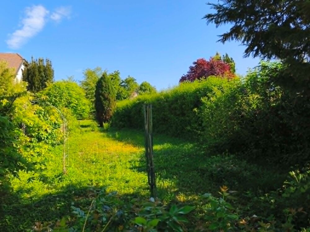 Vente Maison Opportunité exceptionnelle ! Maison de ville avec deux appartements, et potentiel pour un troisième Orchamps