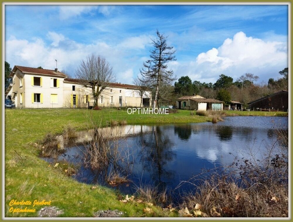 ensemble de 2 maisons+ dependances + grand terrain + point d'eau