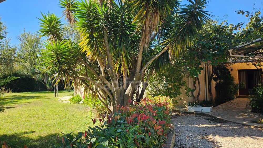 à vendre  Propriété/château Hyères (83400)