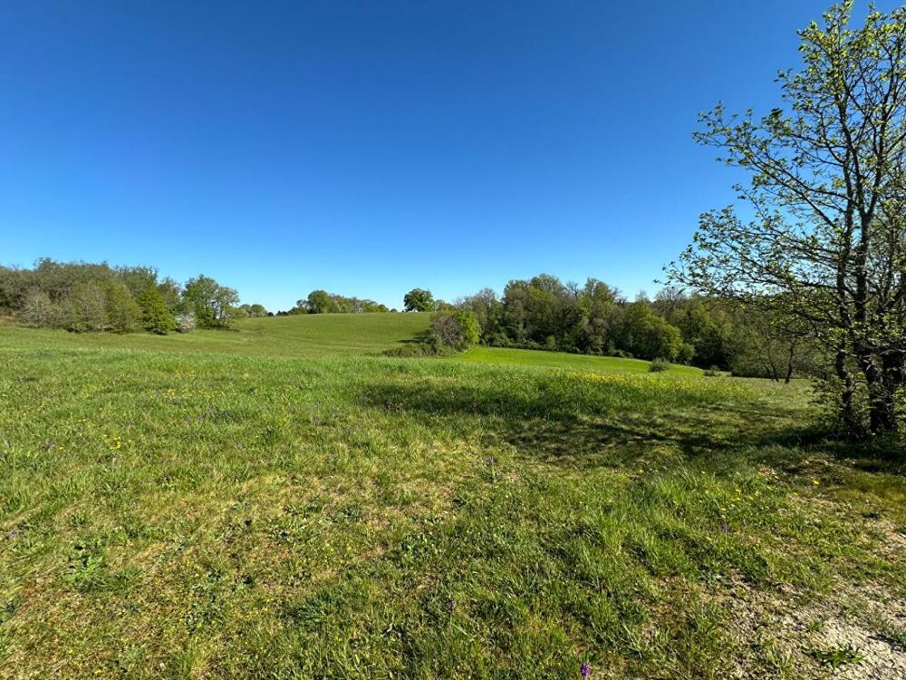 Vente Terrain TERRAIN A BATIR Corgnac sur l isle