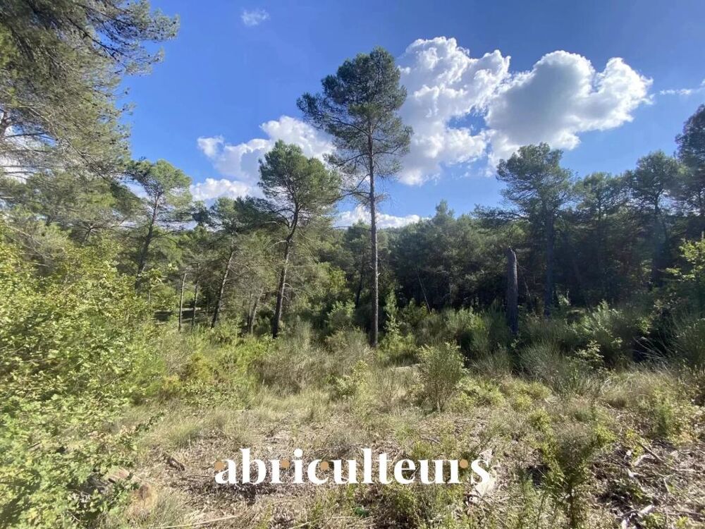 Vente Terrain Terrain constructible de 2 653 m² - La-Roque-d'Anthéron (13640) La roque d antheron