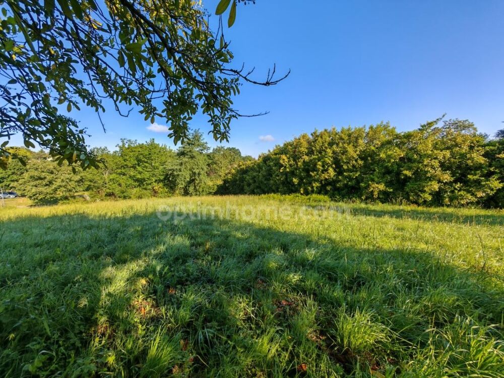 Vente Terrain BAISSE DE PRIX !! Terrain constructible de 1 650m² situé à EAUZE (32) Eauze