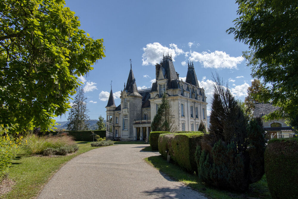 À Vendre - Magnifique Château Néo-Renaissance au Coeur du Pays Vert, Cantal