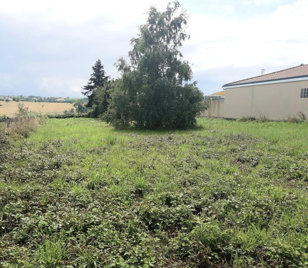 Vente Terrain Terrain Bongheat