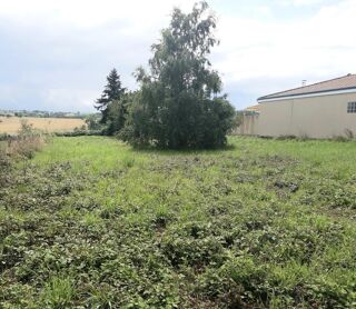  Terrain à vendre 1355 m²