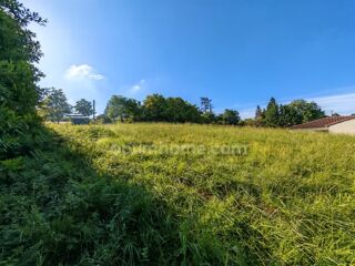  Terrain à vendre 1650 m²