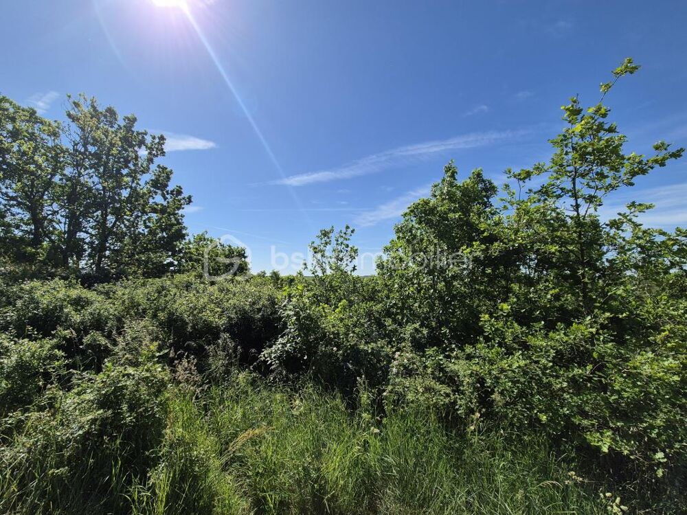 Vente Terrain Landes et bois à saisir Auvillar Auvillar